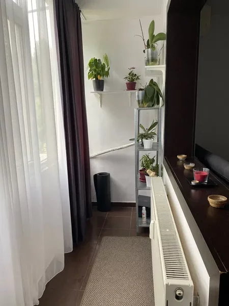 Alexandru Obregia, Covasna.